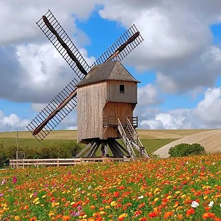 D'hotes Des P'tits Bonheurs Bed and breakfast 3*